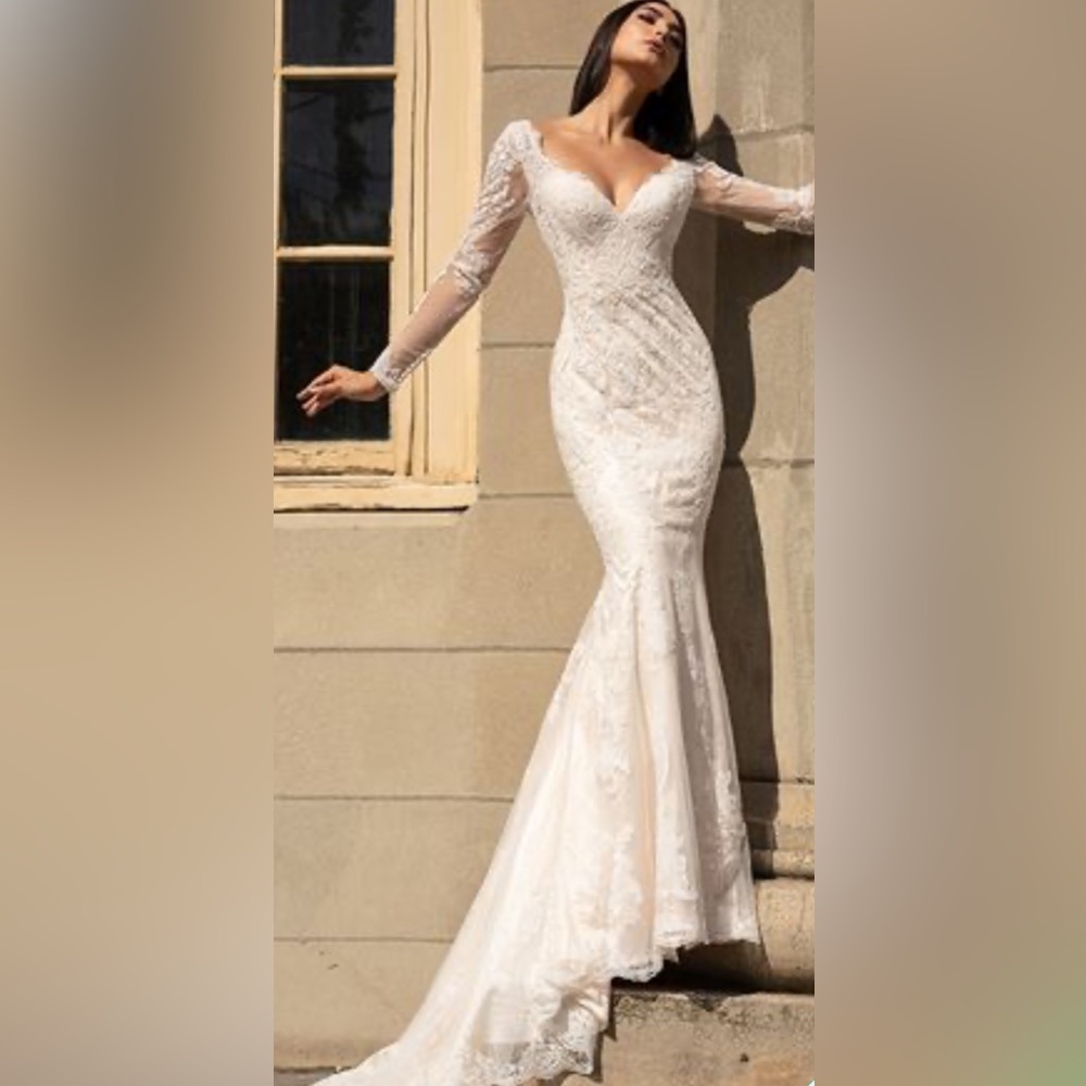 Elegant Ivory Long Sleeves Fit and Flair Lace Bridal Gown. Size 14.  P759